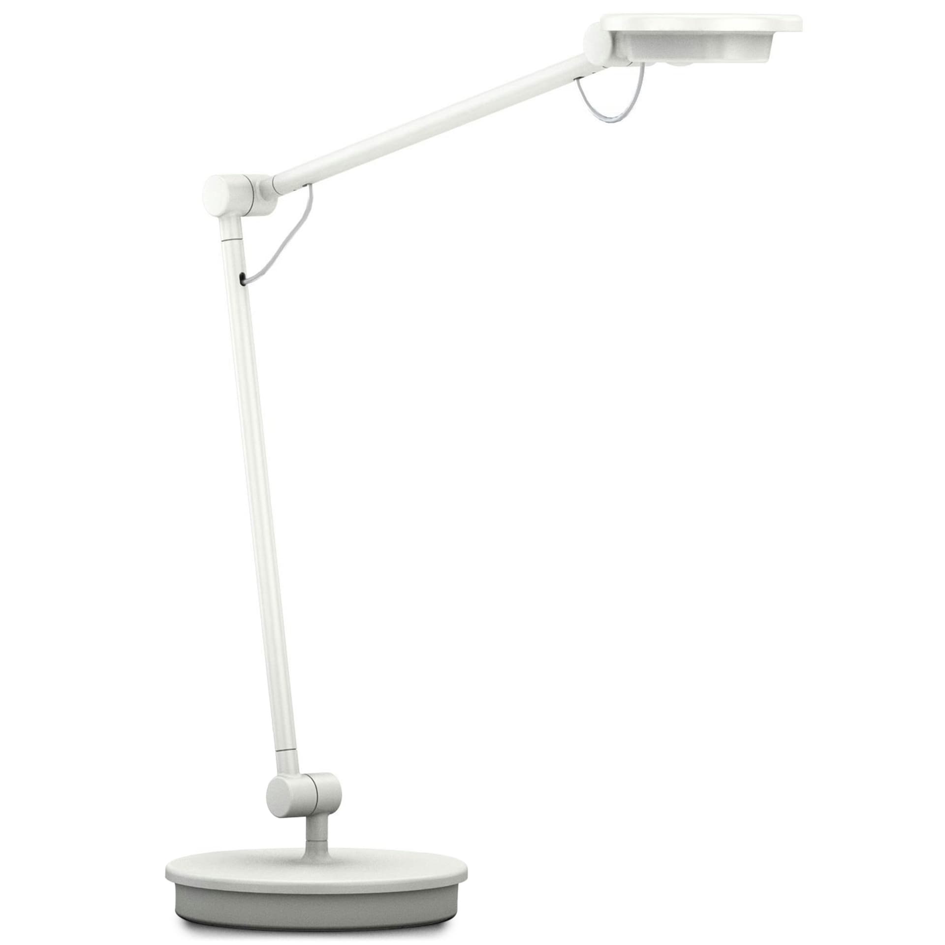 tone personal light / white