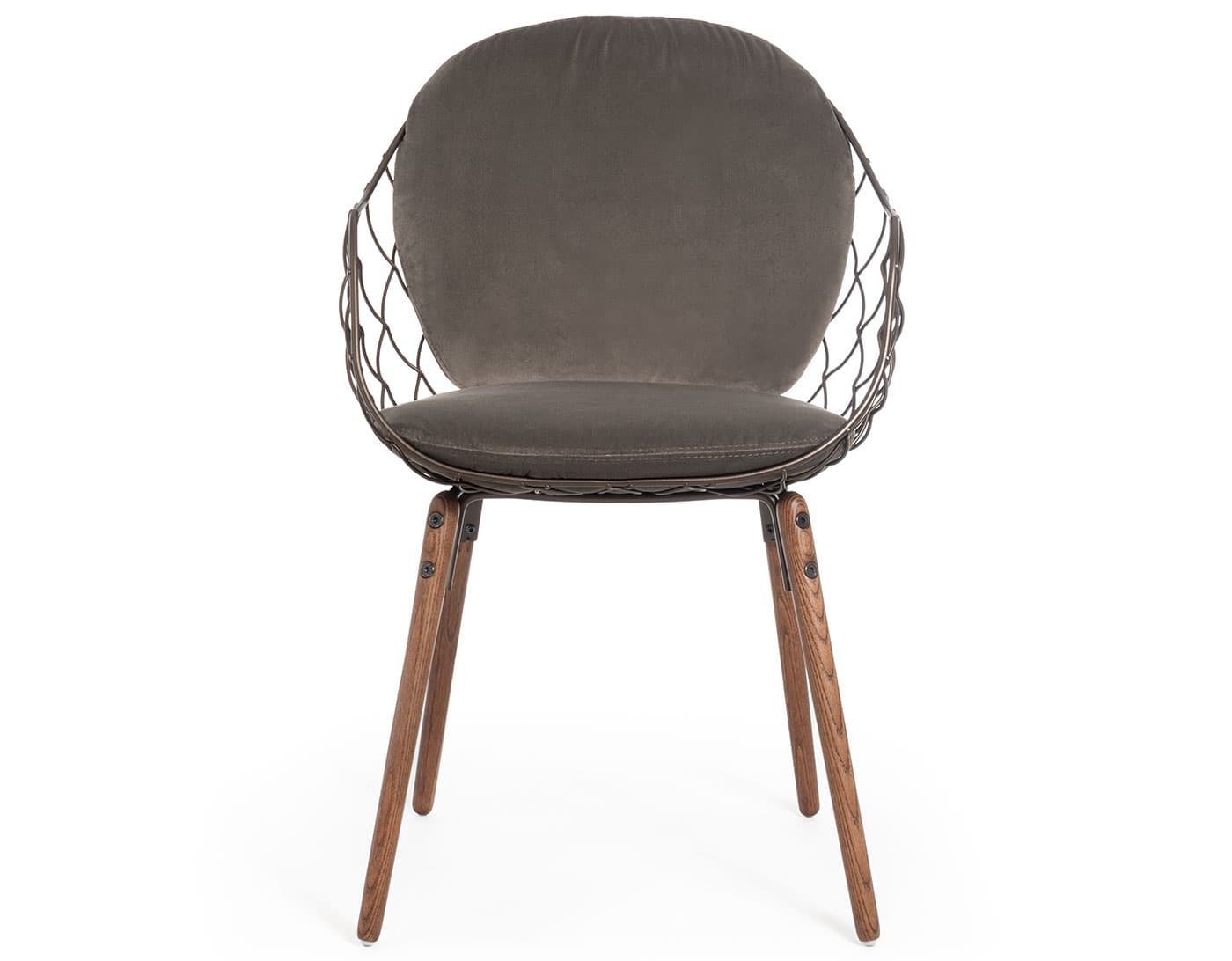Piña Chair with full cushion / velvet bronze cushion / bronze steel rod shell / ash - walnut stained