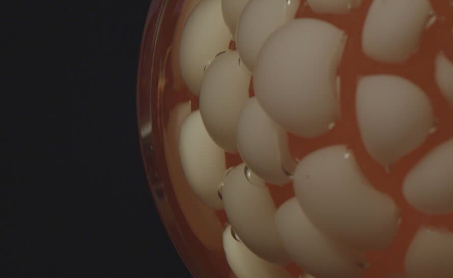 Bocci 118t Table Lamp – thumbnail image #8