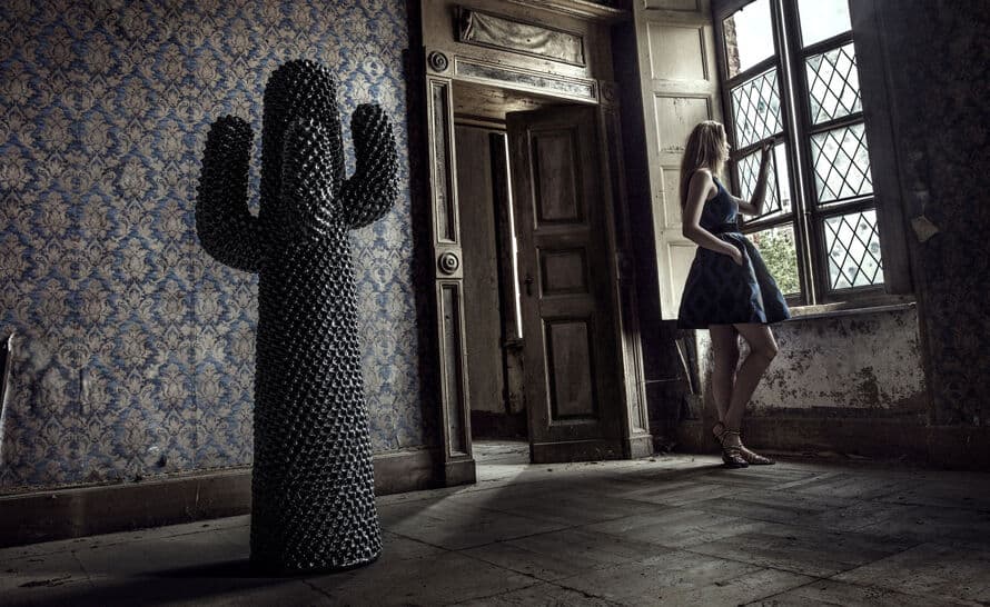 Another Cactus – thumbnail image #8