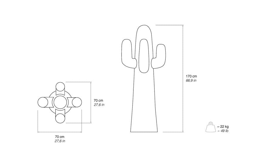 Another Cactus – thumbnail image #9
