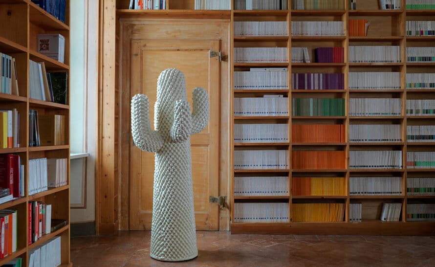 Another Cactus – thumbnail image #6
