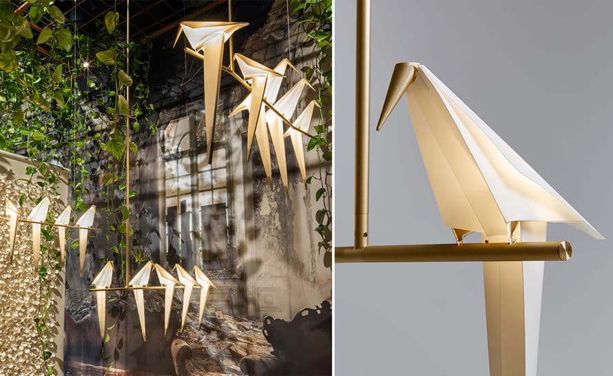 perch light branch – thumbnail image #8