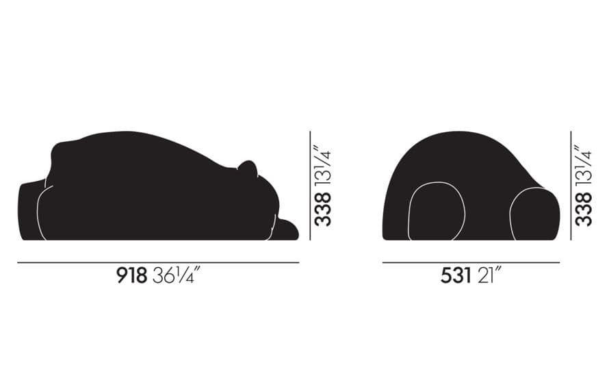 resting bear – thumbnail image #13