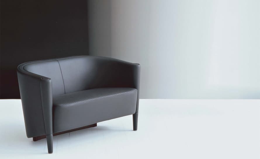 rich 2 seat sofa – thumbnail image #3