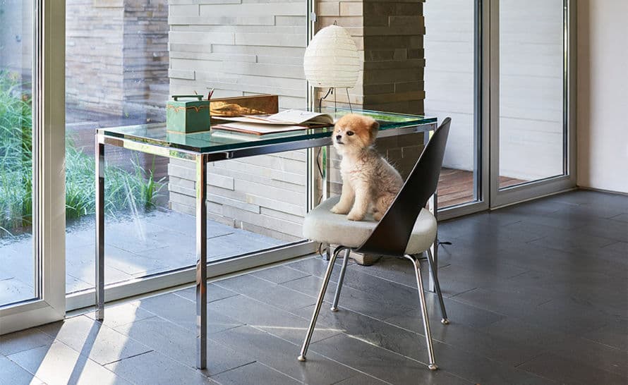 saarinen plastic back side chair with tubular legs – thumbnail image #6