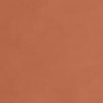 saddle leather - naturale (CP1)