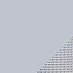 matte light grey body / light grey webbing