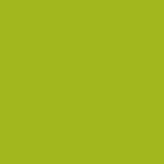 green pistacchio (SD580-1346C)