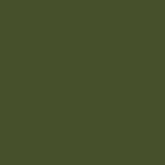 olive green (SD580-1517C)