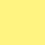 yellow (MT20-1569C)