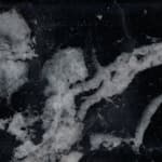 black marquina marble