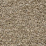dark oat (807)