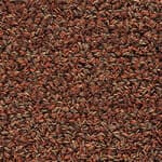 burnt sienna (707)