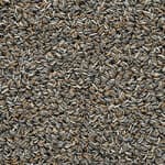 grey gold (505)