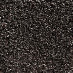black bean (504)