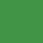 green - 24 piece