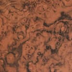 low / 19" height - walnut burl