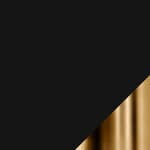 brass frame / semi-matte black shade