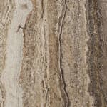 large - lively sepia
