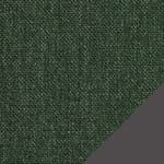 sunbrella - ivy / charcoal frame