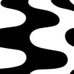 patterned black & white / black cord
