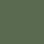 beech - soft olive green (NCS S6020-G50Y)