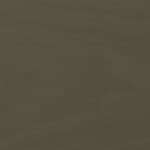 colored ash - olive green (925)