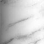 carrara / white -