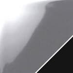 silver / black