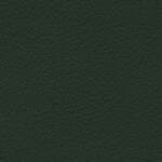 green leather