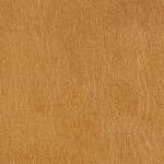 camel leather