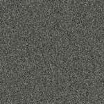 grey fleck