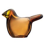 copper body - lemon beak