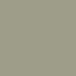 gray (NCS S4005-G50Y)