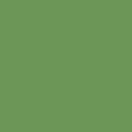 micro size - green