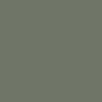 2 pack - matte sage green