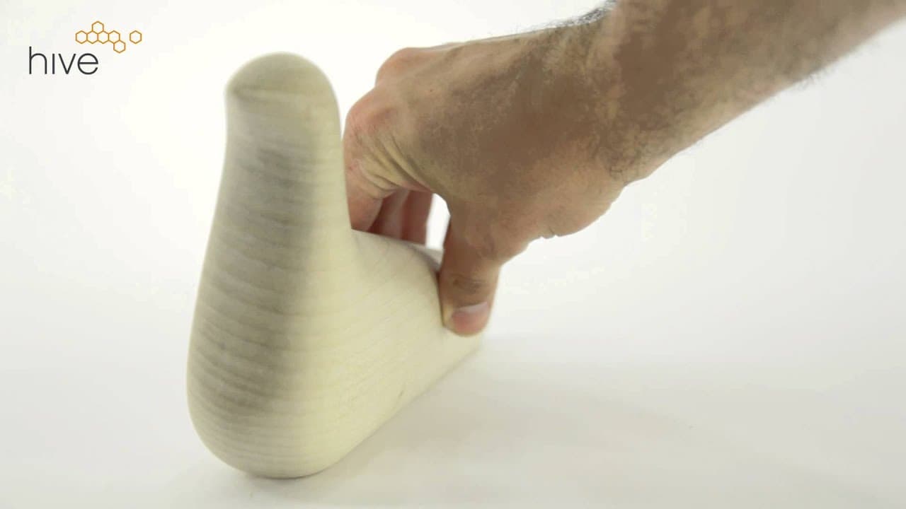 l'oiseau video