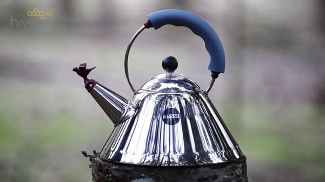 alessi 9093 michael graves kettle video