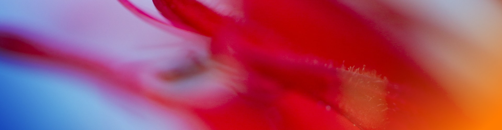 Vitra Panton chair 100th anniversary edition