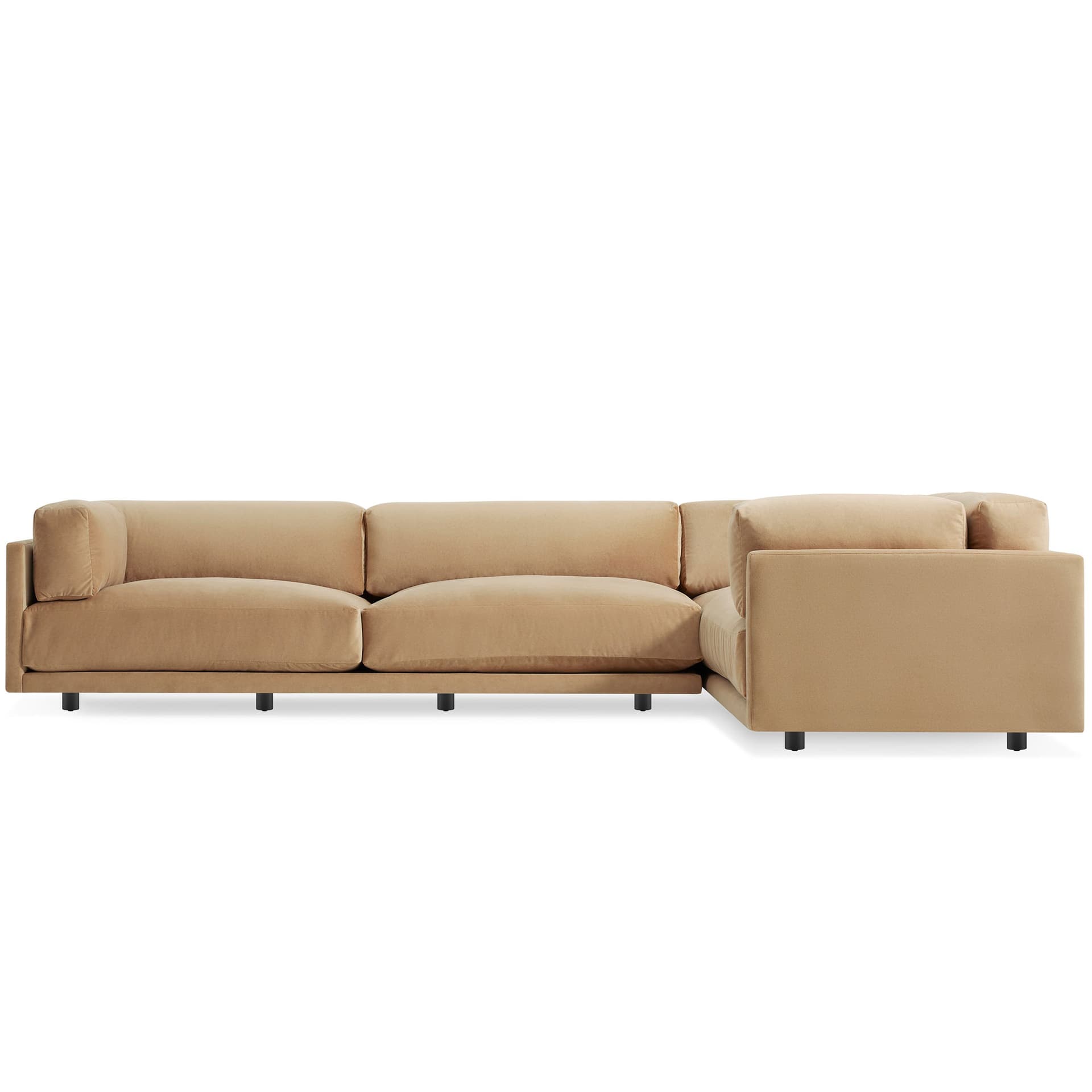 sunday l sectional sofa / when facing sofa shorter section on right / Camel Velvet