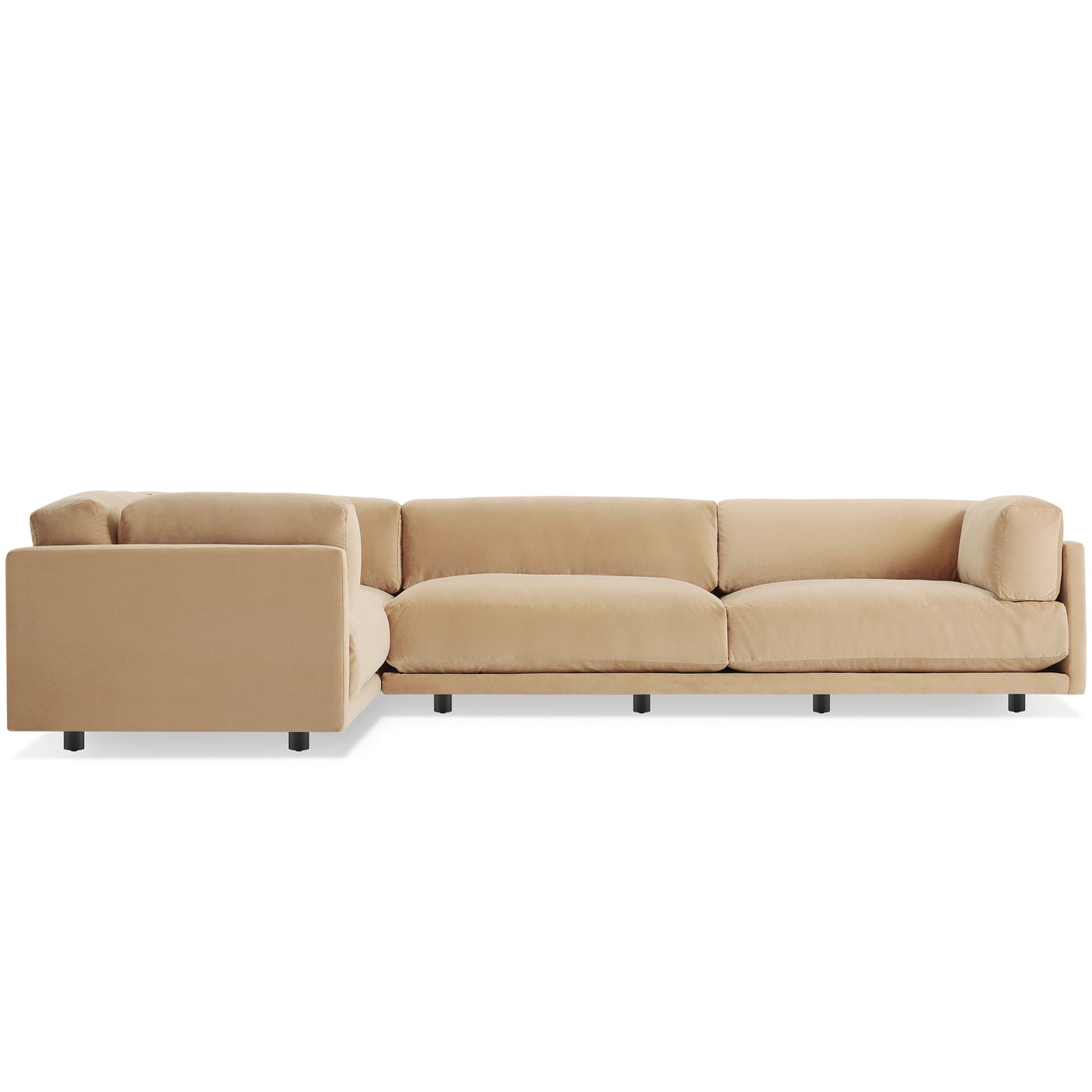 sunday l sectional sofa / when facing sofa shorter section on left / Camel Velvet
